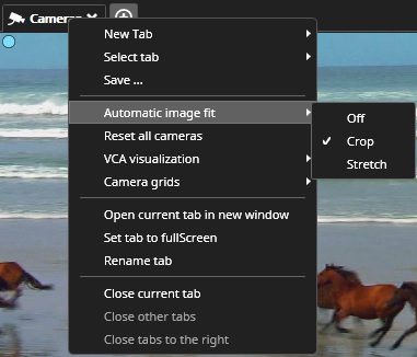 ImageFitMenu.jpg